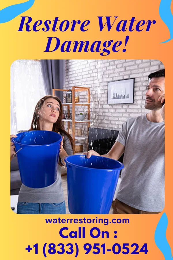 water restoration Hawk Mitigation Co Roselle Park