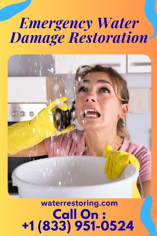 Emergency Water Damage Restoration in Roselle Park, NJ