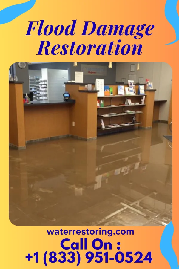 Flood Damage Restoration in Roselle Park, NJ
