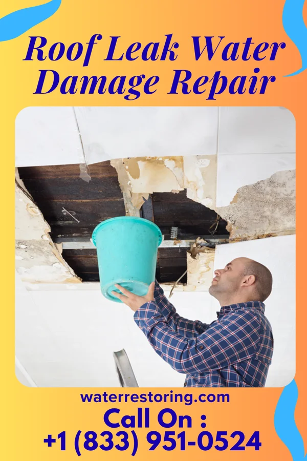 Roof Leak Water Damage Repair in Roselle Park, NJ