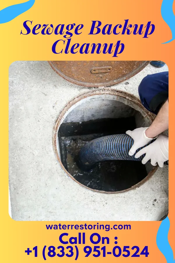 Sewage Backup Cleanup in Roselle Park, NJ