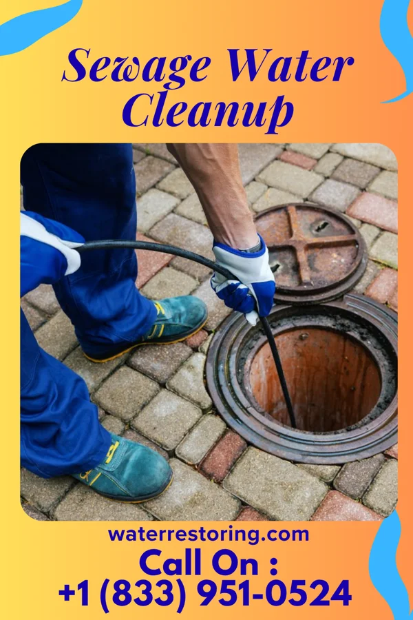 Sewage Water Cleanup in Roselle Park, NJ