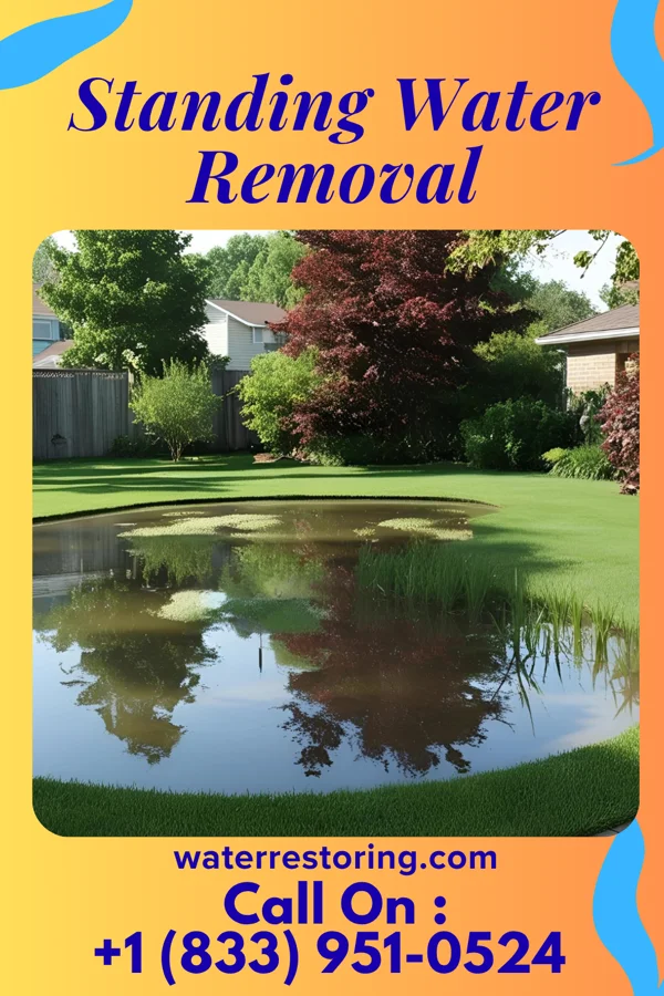 Standing Water Removal in Roselle Park, NJ